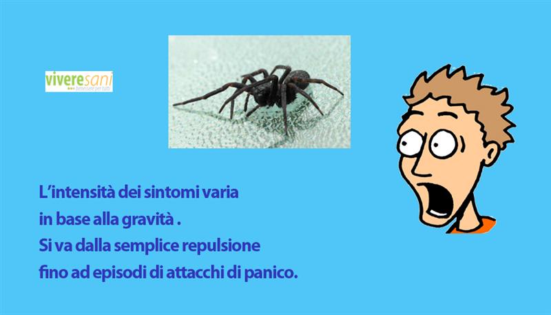 La paura dei ragni